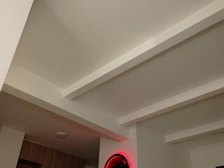 Thony Muscle webcam model stream image