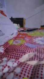 Egyptianhard webcam model stream image