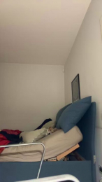 Horse1999wow webcam model stream image