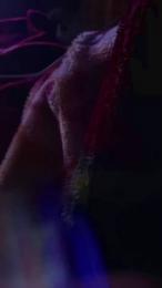 JohnnyD989 webcam model stream image