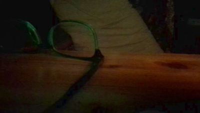 porcinoTN webcam model stream image