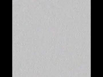 _tammarra_ webcam chaturbate model stream image