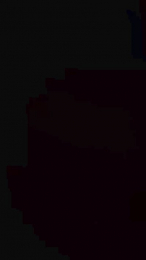 nicolet_ webcam model stream image