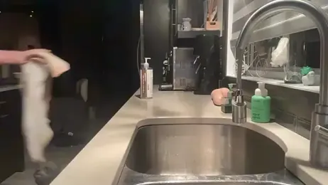 Toy-Daddy webcam model stream image