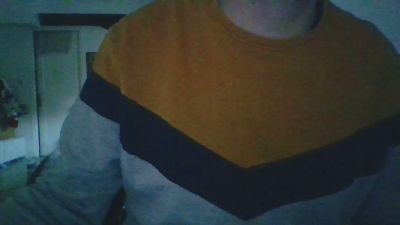 informaticie webcam model stream image