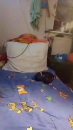 DrHuelsentrieb webcam model stream image