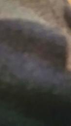 Morboxxxxx webcam model stream image