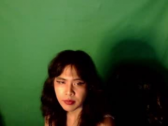 tashakai webcam model stream image