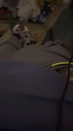 tommynrw74 webcam model stream image