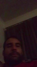 Cerditoi webcam model stream image