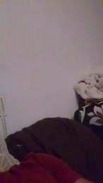 Cerditoi webcam model stream image