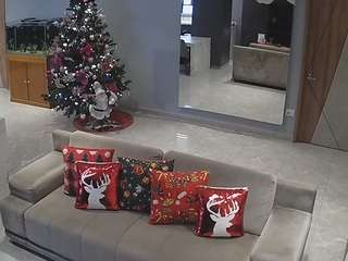 voyeurcam-casa-salsa-parlor webcam model stream image