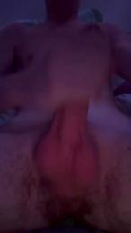 axlpr webcam model stream image