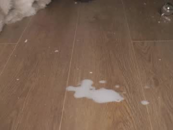 agent_blonde webcam model stream image