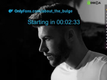 about_the_bulge webcam model stream image
