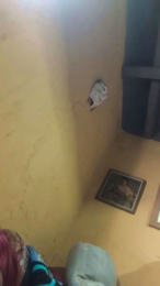 naza35_xxx webcam cam4 model stream image