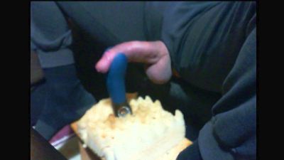 dogready webcam model stream image