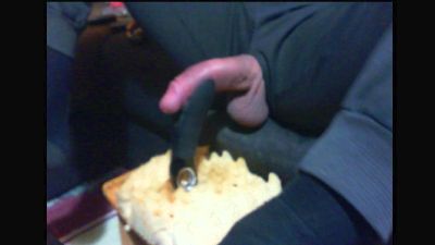 dogready webcam model stream image