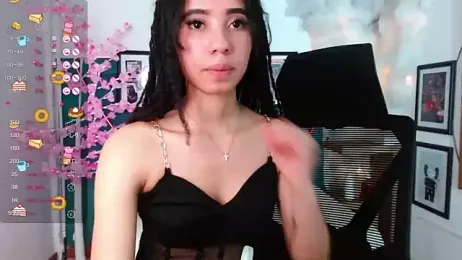 northly webcam model stream image