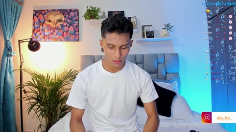 ala_ha webcam model stream image