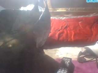 chattylane webcam model stream image