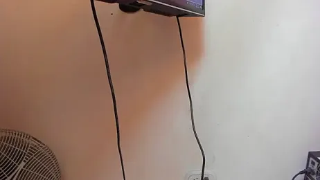 ZeusBrant webcam stripchat model stream image