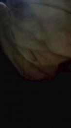 leonardobrasil3 webcam model stream image