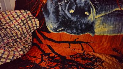 jamismu webcam model stream image