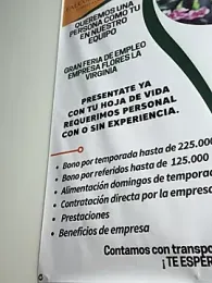 Lesly_10- webcam model stream image