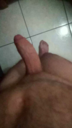 mauro1903 webcam model stream image