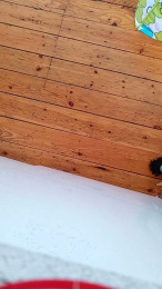 zoomerdk webcam model stream image