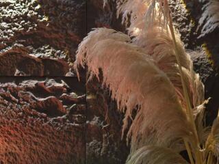 Ema Malkova webcam model stream image