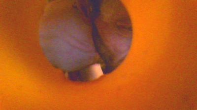 Sandroplum webcam model stream image
