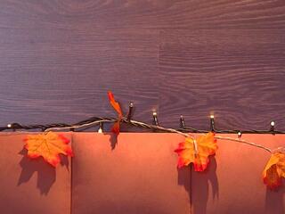 Olivia Onya webcam model stream image