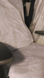 BlueEye_Girl webcam model stream image