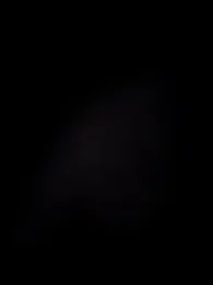 Alexvit2616 webcam stripchat model stream image