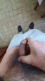 pacha2014 webcam model stream image