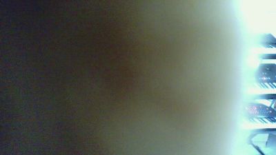 pacha2014 webcam model stream image