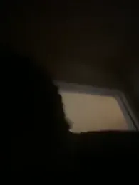 shurthingx webcam model stream image