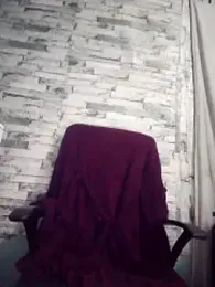 DigCrok webcam model stream image
