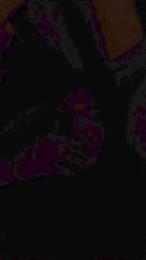 Sabrigarcia webcam cam4 model stream image