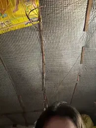 dudubaobao webcam model stream image