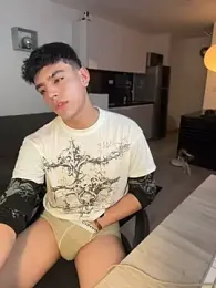 aronnhidden webcam model stream image