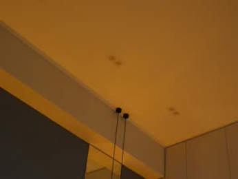 poisonn_girll webcam model stream image