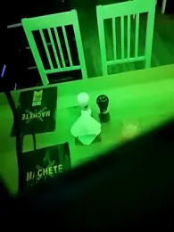 ARTANIS20 webcam model stream image