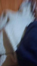 orsoita26 webcam cam4 model stream image