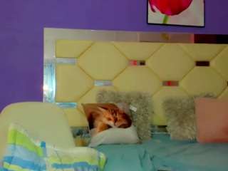 zafaerahot webcam model stream image