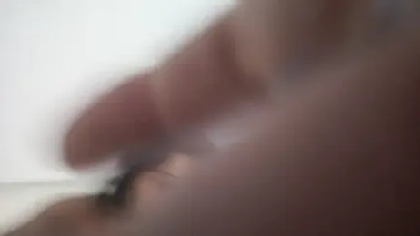 BellJS webcam model stream image