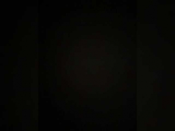 Tom-and-Jenny webcam model stream image