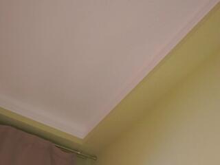 Taite Balle webcam model stream image